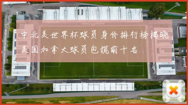 中北美世界杯球员身价排行榜揭晓美国加拿大球员包揽前十名