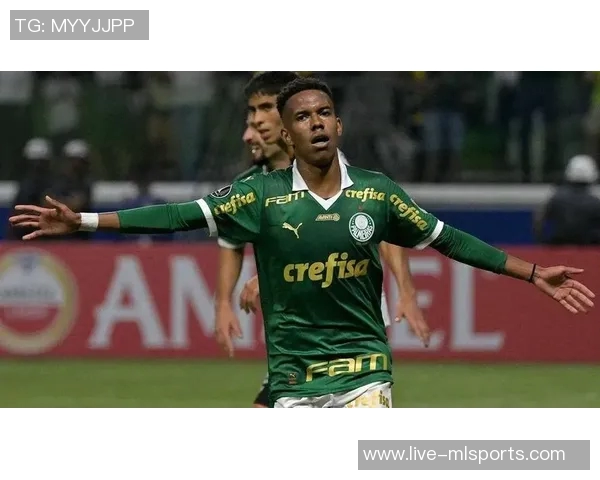 帕尔默因腹股沟伤势缺阵至11月将缺席至少四场重要比赛 帕尔默因腹股沟伤势缺阵至11月将缺席至少四场重要比赛