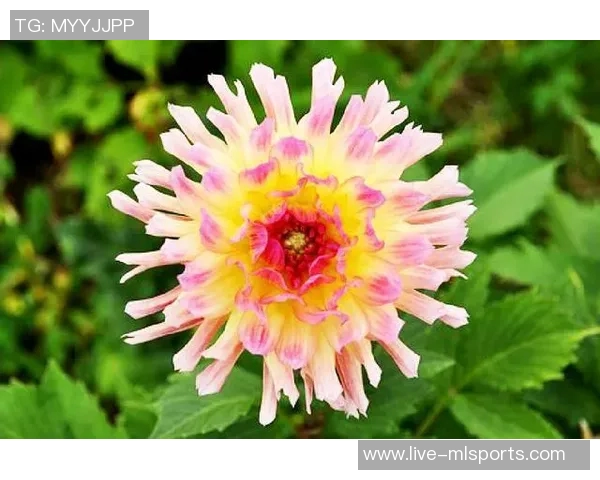 安布罗西尼赞莫德里奇正能量如马尔蒂尼般激励队友