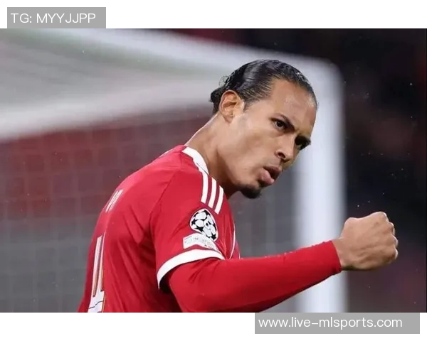 评论员分析范戴克争议判罚多库干扰多纳鲁马视线更具说服力