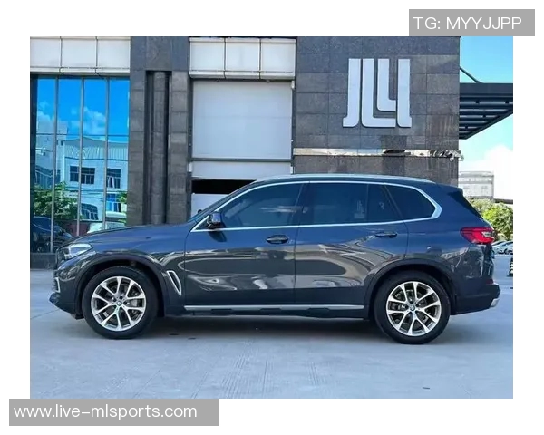 名字寒碜却有好工作10天合同薪水如何让瀚森买宝马X5新车